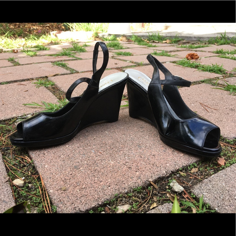 Wedges by Chaps